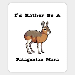 Patagonian Mara Magnet